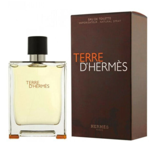 HERMES - Terre d'Hermès EDT Hombre 50 ml - VyP Perfumería